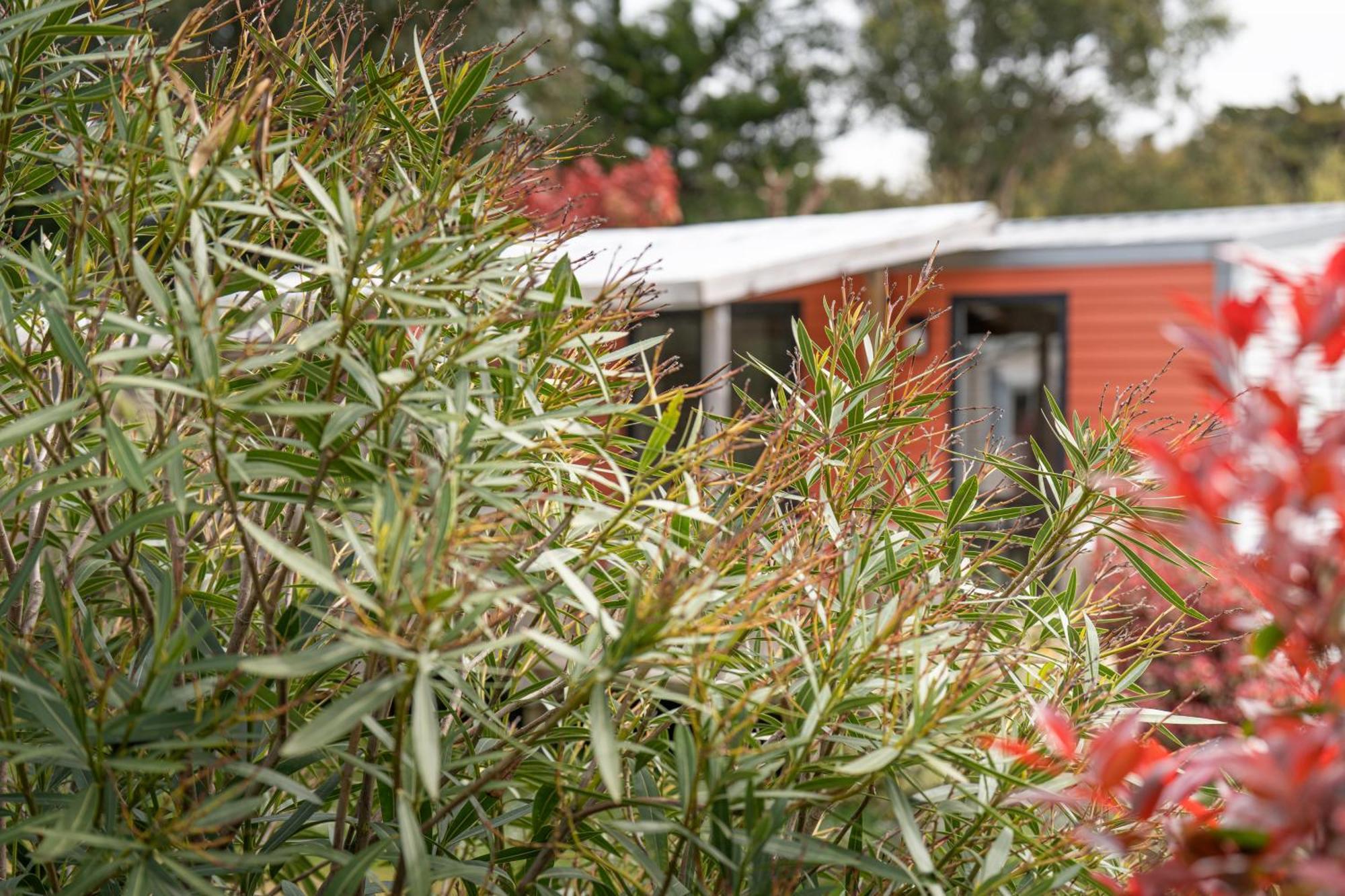 Camping Antioche D'Oleron La Brée-les-Bains Εξωτερικό φωτογραφία