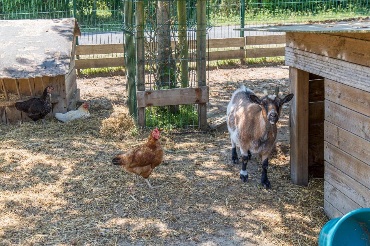 Camping Antioche D'Oleron La Brée-les-Bains Εξωτερικό φωτογραφία